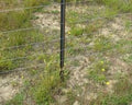 Y Post & T Post